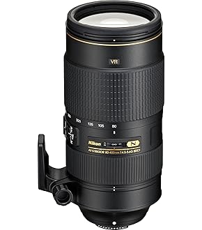 レンズ(ズーム) NIKON AF-S NIKKOR 28-300mm F3.5-5.6G VR 71Lhc5RWOsL._AC_UF350,